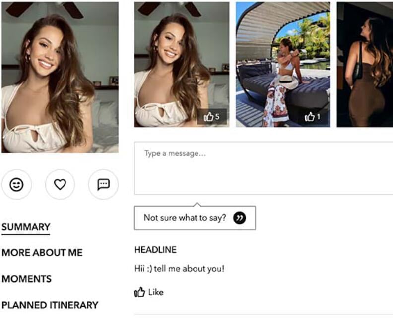 Perfil atractivo en línea